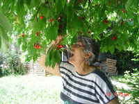 Produits du jardin